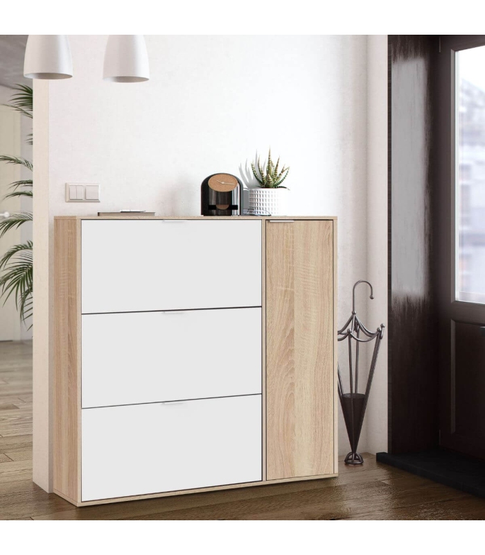 Zapatero Class 4 puertas, en ambiente|SAYEZ|