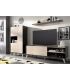 Conjunto Muebles Salón Ness, en ambiente|SAYEZ|