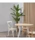 Planta Bananero 180 cm