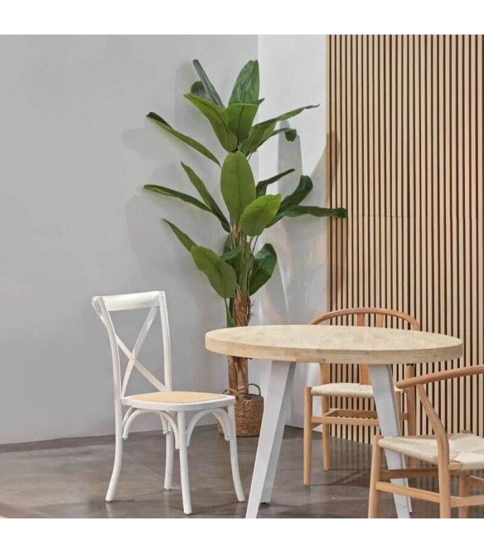 Planta Bananero 180 cm