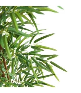Planta Bambú 180 cm |SAYEZ|