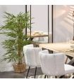 Planta Bambú 180 cm |SAYEZ|