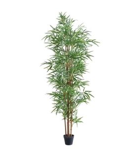 Planta Bambú 180 cm |SAYEZ|