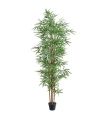 Planta Bambú 180 cm |SAYEZ|