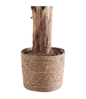Cesto Esparto 26 cm |SAYEZ|