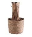 Cesto Esparto 26 cm |SAYEZ|