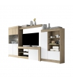 Mueble de Salón Cambrian Logan 004