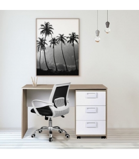 Silla de oficina y escritorio Trend, blanca y negra, cómoda, elegante y barata. Sayez